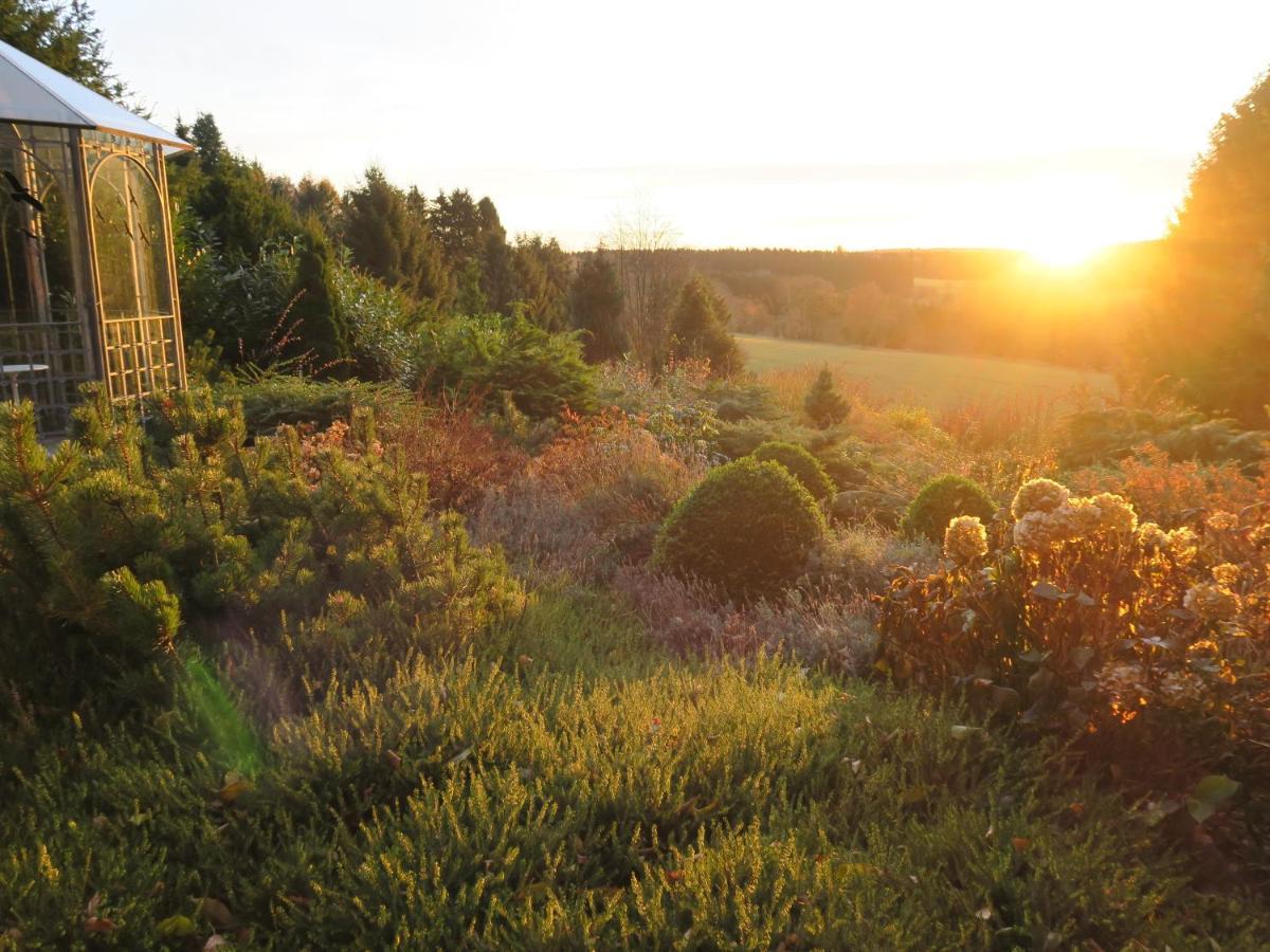 Ferienhaus Sonne, Harz Und Sterne Villa Hohegeiß Eksteriør bilde