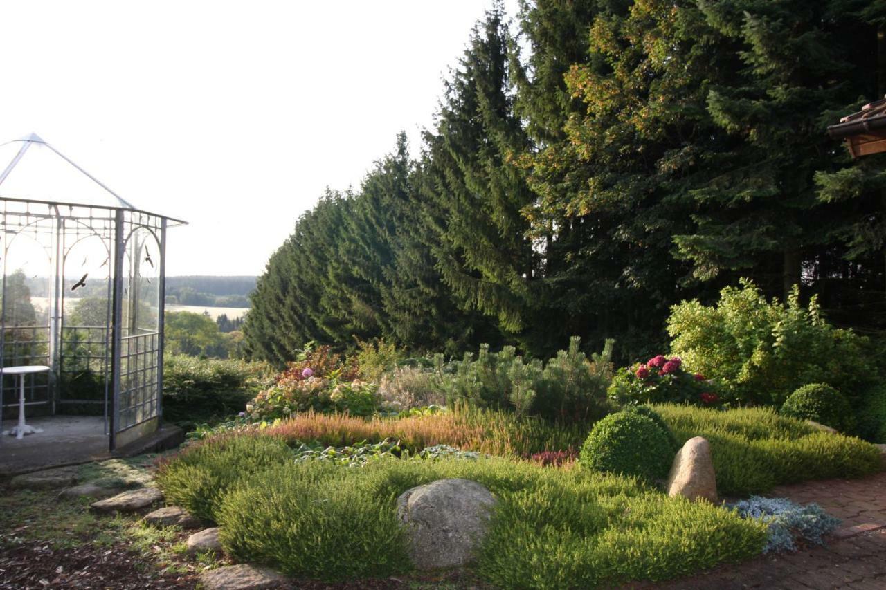 Ferienhaus Sonne, Harz Und Sterne Villa Hohegeiß Eksteriør bilde