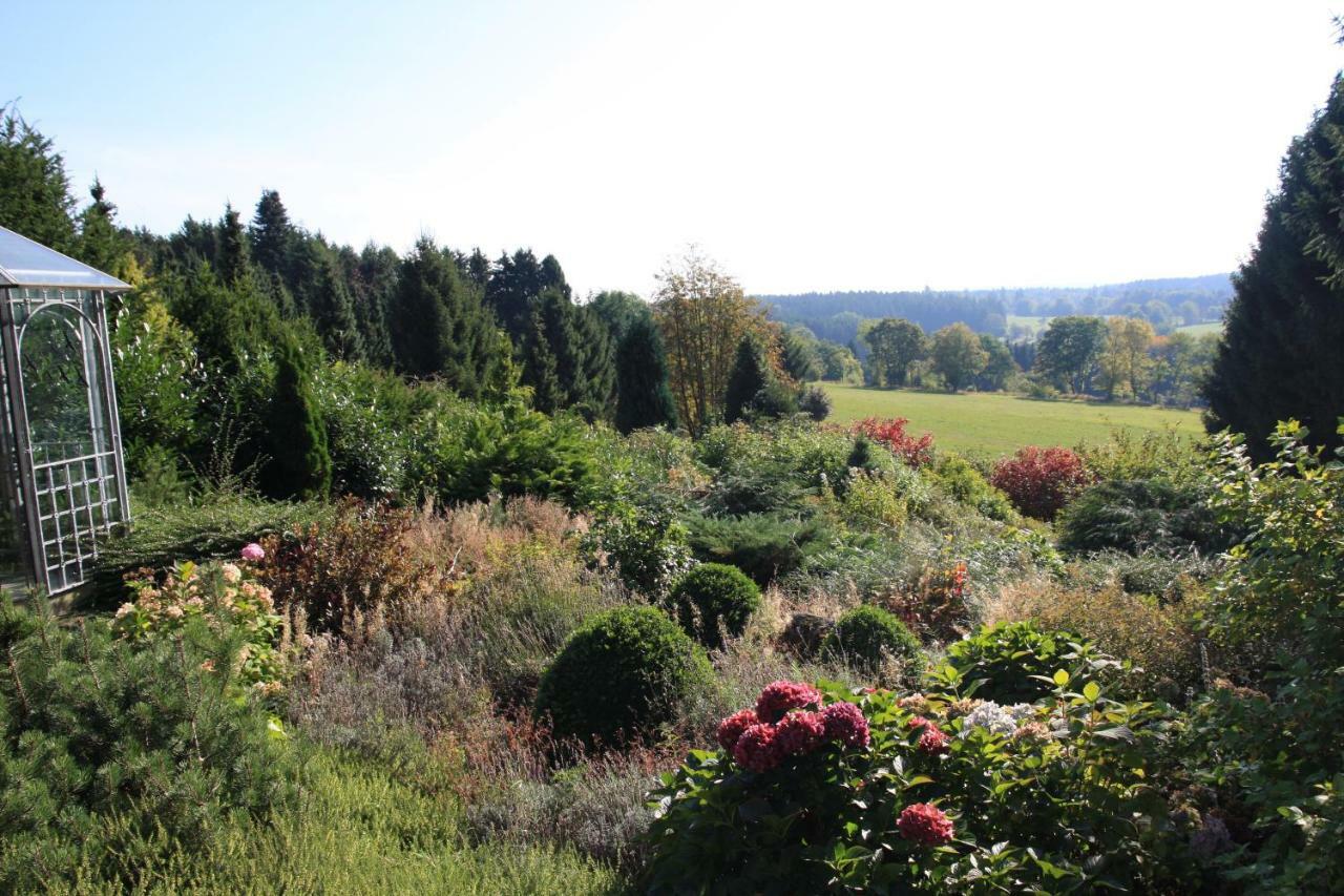 Ferienhaus Sonne, Harz Und Sterne Villa Hohegeiß Eksteriør bilde