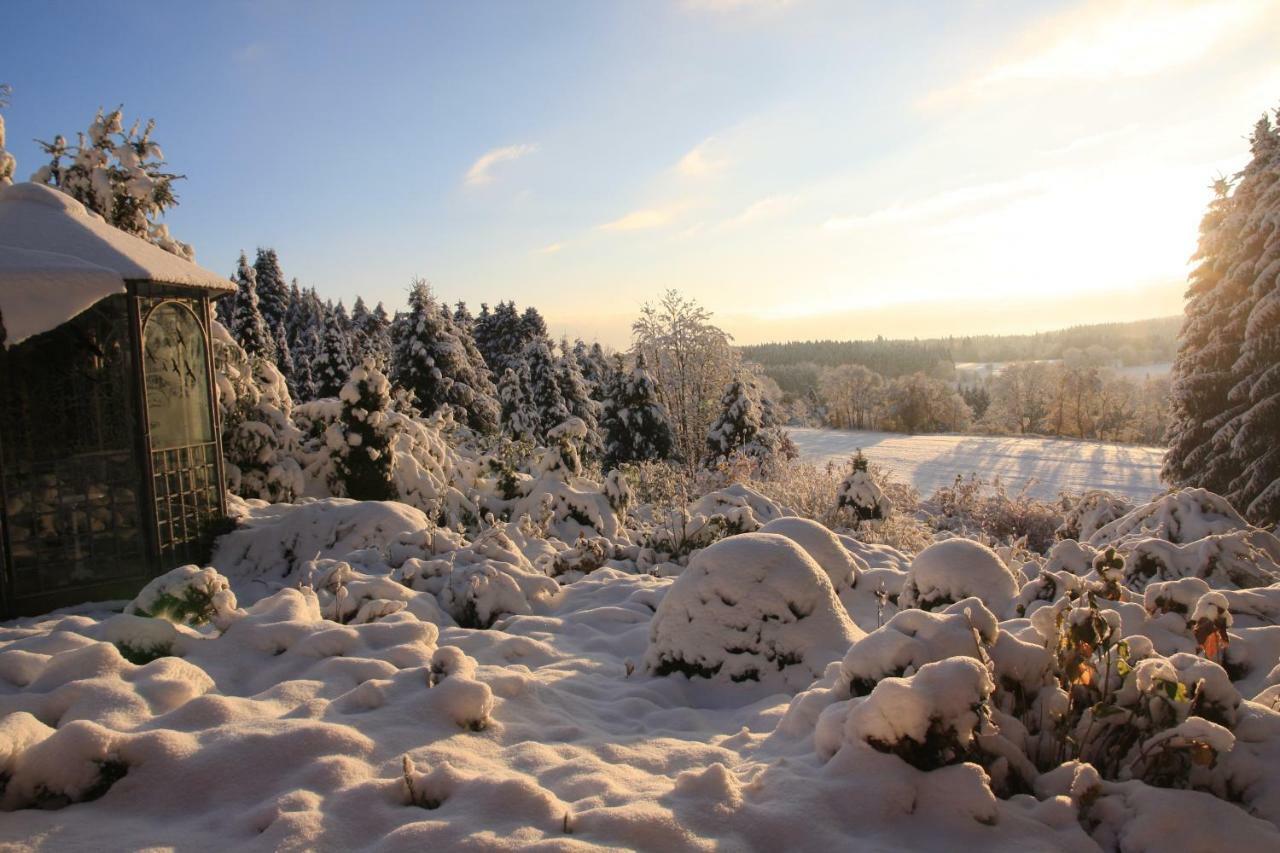 Ferienhaus Sonne, Harz Und Sterne Villa Hohegeiß Eksteriør bilde