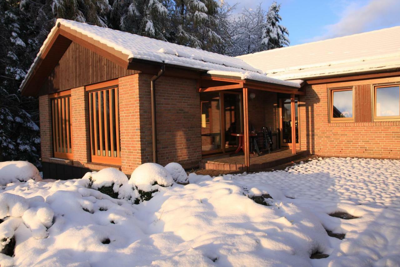 Ferienhaus Sonne, Harz Und Sterne Villa Hohegeiß Eksteriør bilde