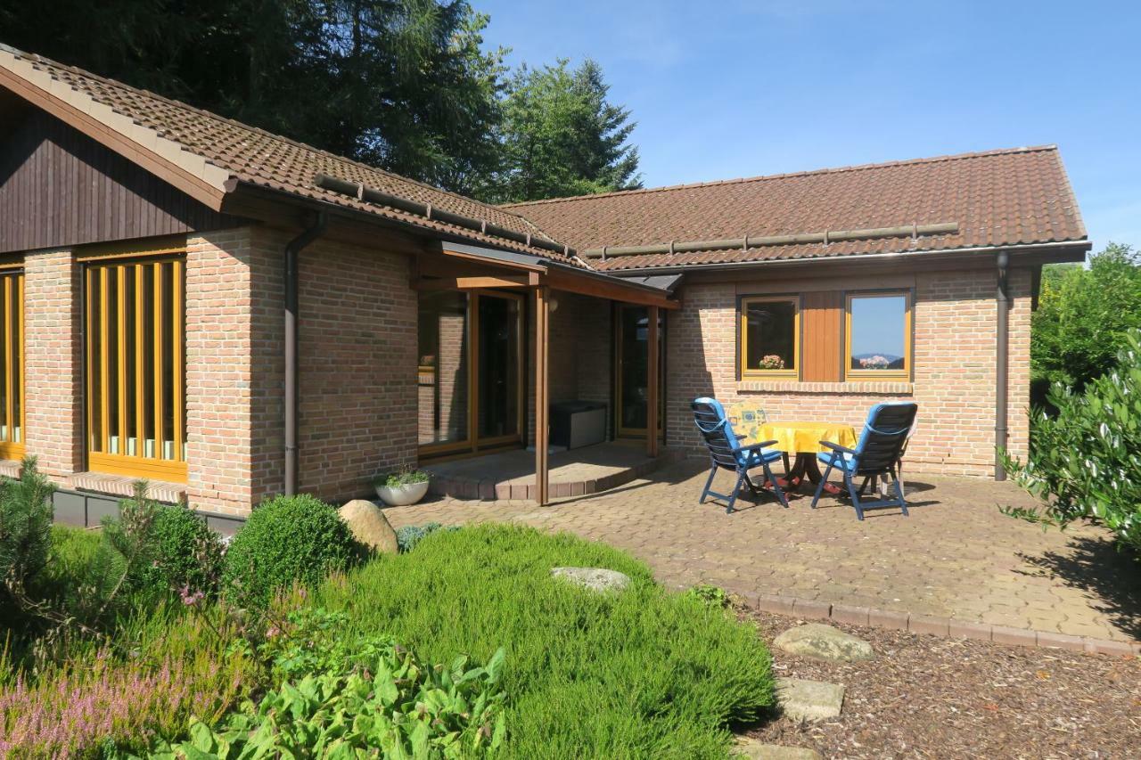 Ferienhaus Sonne, Harz Und Sterne Villa Hohegeiß Eksteriør bilde